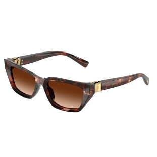 OCULOS DOLCE&GABBANA 4532 322274 53
