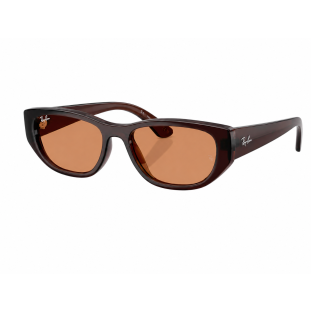 OCULOS RAY BAN 4476L 14577 53