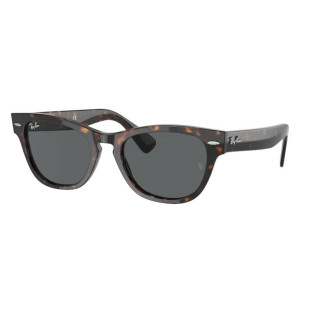 ÓCULOS RAY BAN 2201 902B1 54