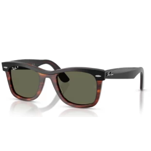 OCULOS RAY BAN 2240 1441R5 50